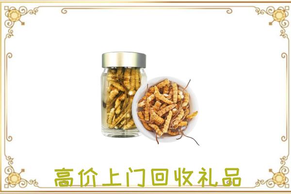 锡林浩特周边回收虫草